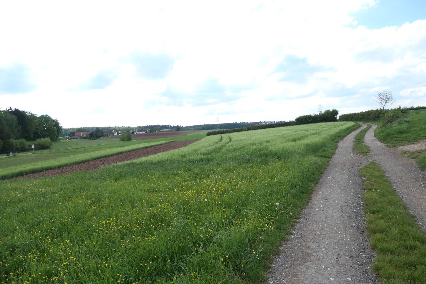 P1001033.jpg